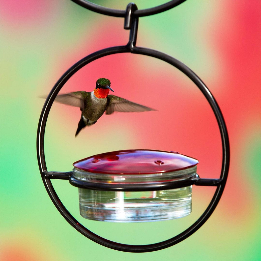 Beautiful Hanging Hummingbird Feeders