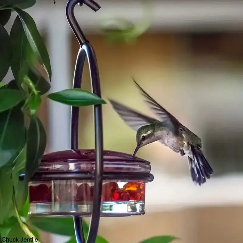 Beautiful Hanging Hummingbird Feeders
