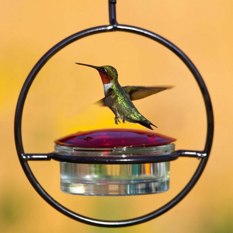 Beautiful Hanging Hummingbird Feeders