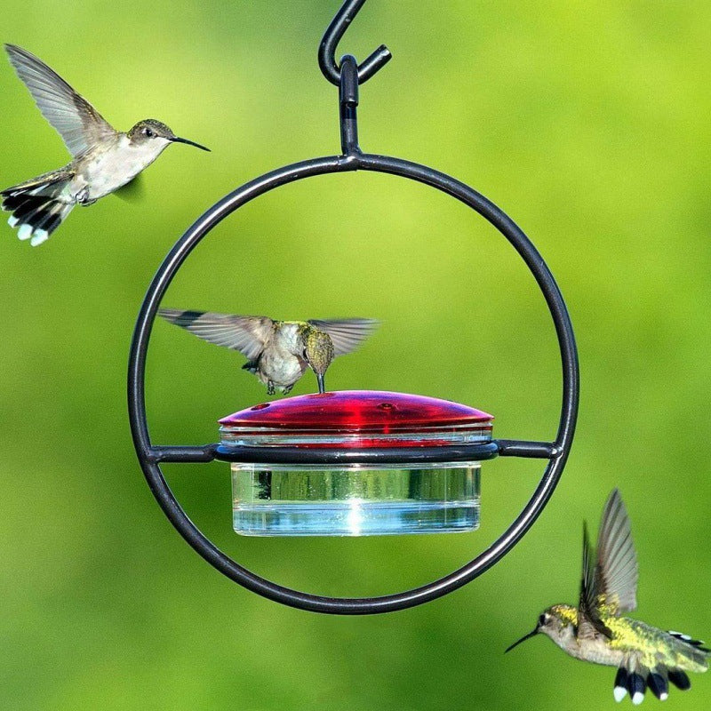 Beautiful Hanging Hummingbird Feeders