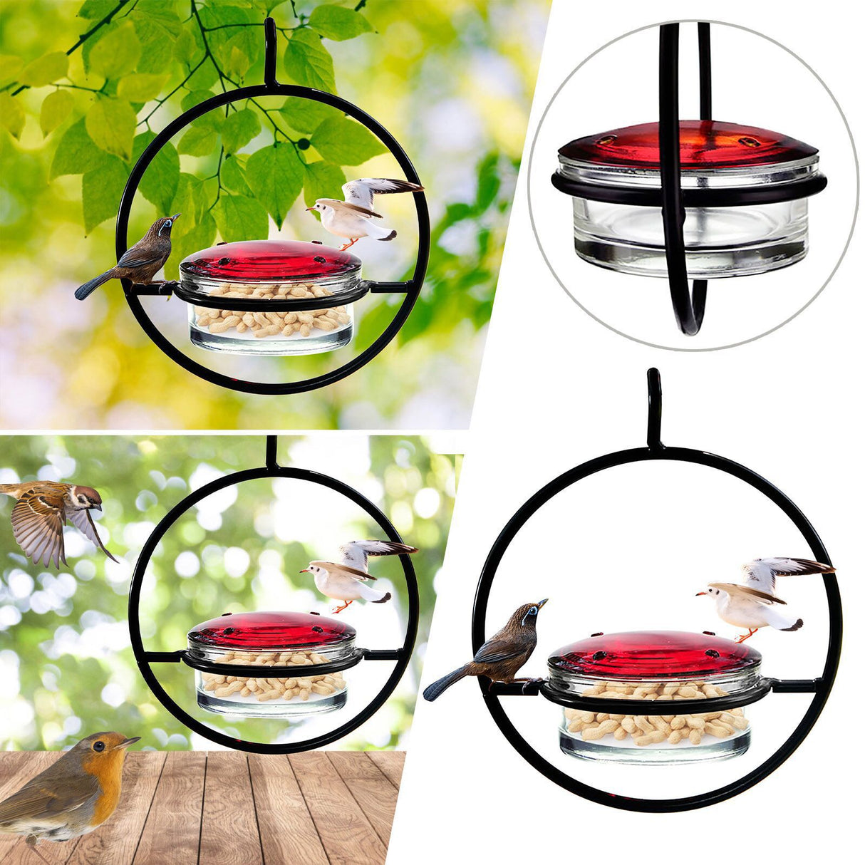 Beautiful Hanging Hummingbird Feeders